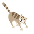Crazy cat vector illustration style Flat Royalty Free Stock Photo