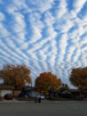 Crazy clouds