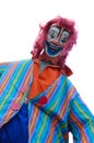 Crazy clown Royalty Free Stock Photo