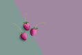 three crazy colored raspberries on green and purple background