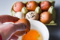 Crazy eggs terrified, Scared faces staring from egg tray at broken egg. Funny easter stories.