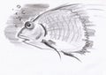 Crazy fish with air bubbles. Stylized close-up portrait