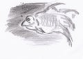 Crazy fish with air bubbles. Stylized close-up portrait