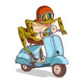 A Crazy Frog Racer, isolated vector illustration