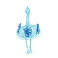 Crazy funny bird back side in aqua and blue colours in doodles hand drawn style. Royalty Free Stock Photo