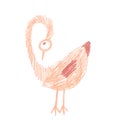Crazy funny bird looking down and stay in pink and orange colours in doodles hand drawn style.