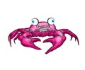 Crazy funny crab sketch. linear sea cance. Vector illustration