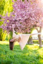 Crazy Girl in pink cherry blossom park. Beautiful young woman enjoying sunny day in park during cherry blossom season on Royalty Free Stock Photo