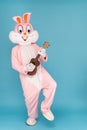 Crazy guitarist is playing music by ukulele or Hawaiian guitar. Easter bunny or rabbit or hare celebrates Happy easter