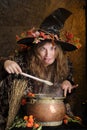 Crazy halloween witch Royalty Free Stock Photo