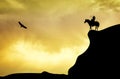 Crazy horse on rope Royalty Free Stock Photo