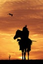 Crazy horse at sunset Royalty Free Stock Photo