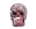 Crazy lace agate realistic carved crystal skull isolated on white