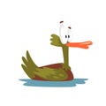 Crazy Male Mallard Duck Swimming, Funny Bird Cartoon Character Vector Illustration