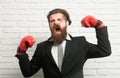 Crazy man boxing. Funny excited boxer businessman. Young man in a suit and boxing gloves, business winner. Furious funny