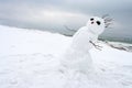 Crazy, melting snowman on a winter beach. Royalty Free Stock Photo