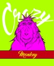 Crazy monkey . Vector monkey in bright colors.