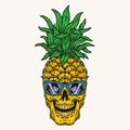 Crazy pineapple vintage colorful emblem