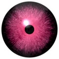 Crazy pink 3d eyeball isolated on white background, black little pupil