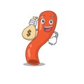 Crazy rich appendix mascot design having money bags