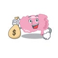 Crazy rich brain mascot design having money bags