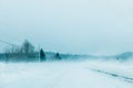 Crazy Snowstorm and Blowing Snow on the road in Canada Royalty Free Stock Photo