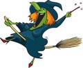 Crazy witch 1 Royalty Free Stock Photo