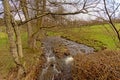 Creak in a meadow with bare trees in Ardennes