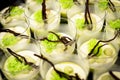 Dessert in green tones with solidification of chocolate in vertical for presentation in gastronomic show