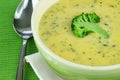 Cream of Broccoli Soup Royalty Free Stock Photo