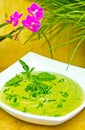 Cream of broccoli soup Royalty Free Stock Photo