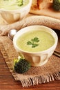 Broccoli soup Royalty Free Stock Photo