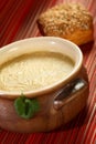 Cream from cantal cheese