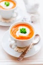 Cream Carrot Soup in a Cup Royalty Free Stock Photo