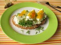 Cream cheese, egg and cress on bread Royalty Free Stock Photo