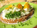 Cream cheese, egg and cress on bread Royalty Free Stock Photo