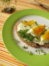 Cream cheese, egg and cress on bread Royalty Free Stock Photo