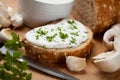 Cream and cheese spread Royalty Free Stock Photo