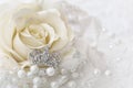 Cream color rose with jeweled crown