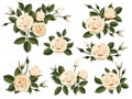 Cream colored rose boutonniere set