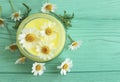 Cream cosmetic daisy chamomile handmade protection freshness extract on a blue wooden background Royalty Free Stock Photo