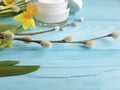 Cream cosmetic treatment toiletry yellow flowers blue wooden background daffodil, fluffy willow, spring Royalty Free Stock Photo