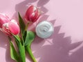 Cream cosmetics flower aroma product   tulip on colored background Royalty Free Stock Photo