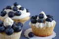 Cream cupcake with blueberries Royalty Free Stock Photo