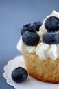 Cream cupcake with blueberries Royalty Free Stock Photo