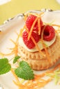 Cream filled puff pastry shell Royalty Free Stock Photo