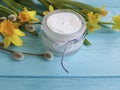 Cream cosmetic glass organic care beauty flowers blue wooden background daffodil, fluffy willow, spring Royalty Free Stock Photo