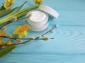 Cream cosmetic glass treatment care cleanser yellow flowers blue wooden background daffodil, fluffy willow, spring Royalty Free Stock Photo