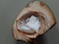 Cream of green coconut.coconut water Royalty Free Stock Photo