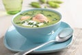 Cream of green pea soup with salmon Royalty Free Stock Photo